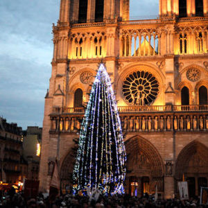 Россия подарила Парижу главную елку Франции