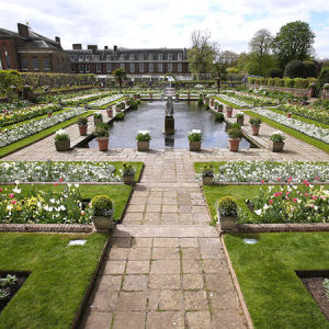 Сад из 12 тысяч белых цветов открылся в Лондоне