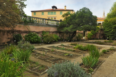 Ботанический сад Падуанского университета