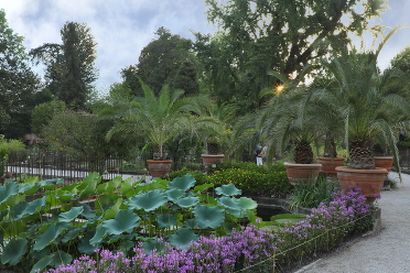 Ботанический сад Падуанского университета