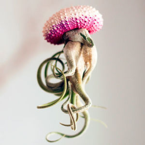Японский дизайнер создает цветочные кашпо из панцирей морских ежей