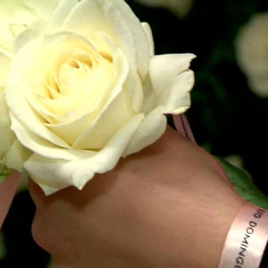 День Матери в мадридском метро отметили живыми розами