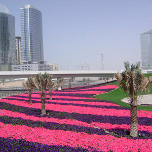 Автомагистрали в Дубае украсили коврами из живых цветов
