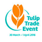 Голландские тюльпаны приглашают на Дни открытых дверей