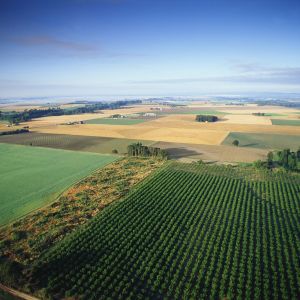 Адаптивное ландшафтное земледелие – одно из перспективных направлений
