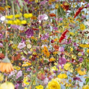 В Берлине известная лондонская художница Ребекка Луиза Лоу создала гигантскую цветочную инсталляцию
