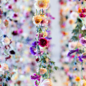 Ребекка Луиза Лоу представила в Австралии новую работу из 150 000 живых цветов