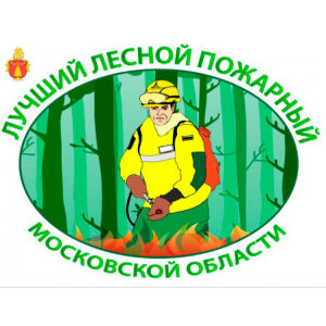 В Московской области определят "Лучшего лесного пожарного"