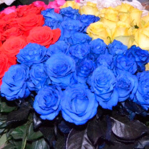 В Москве представлили новинки эквадорских роз