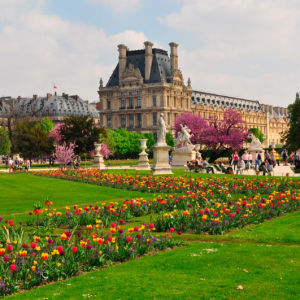 16 парижских парков этим летом будут работать круглосуточно