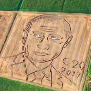 На поле с пшеницей на севере Италии создан огромный портрет Владимира Путина