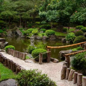 Японский сад ГБС отмечает свое 30-летие
