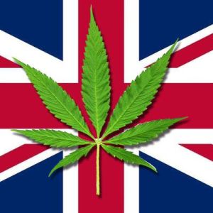 Великобритания официально легализовала марихуану