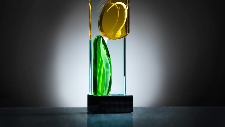 Royal FloraHolland объявила о новинках-номинантах на престижную награду «Голландский тюльпан»