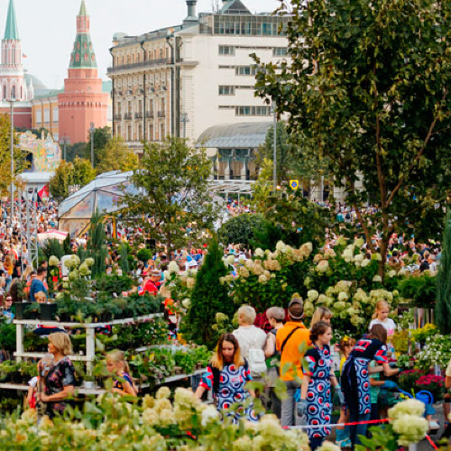 Сегодня в Москве откроются сады "Цветочного джема - 2019"