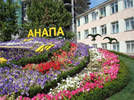 2010-ый в Анапе объявлен Годом цветов