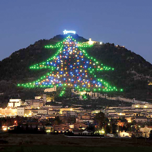 Cамая большая елка в мире находится в Италии