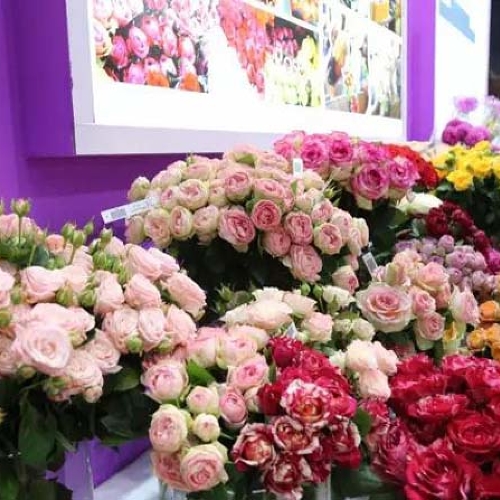 Перенесены сроки проведения выставки Flower Expo China 2020