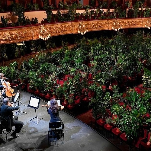 В Барселоне прошел концерт для растений
