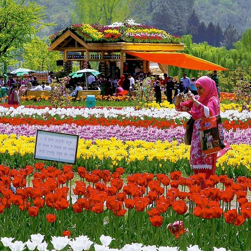 В Мемориальном саду Индиры Ганди можно увидеть 1,5 миллионов тюльпанов