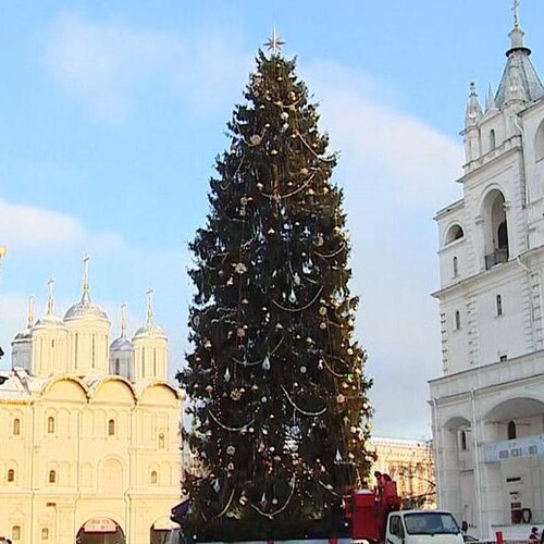 Соборную площадь Московского Кремля украсили елкой