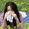 Ученые призывают городских озеленителей пожалеть аллергиков