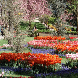 В Стамбуле открылся Фестиваль тюльпанов