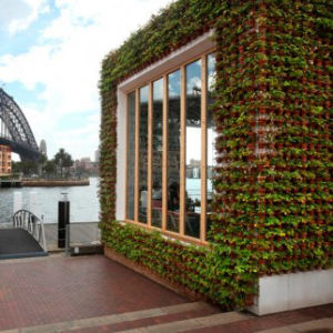 В Сиднейской гавани открыт ресторан из соломы
