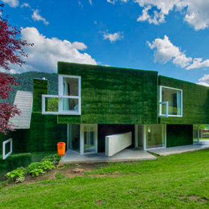 Новый проект: загородный дом, покрытый синтетической травой