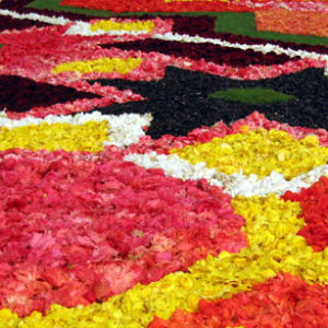 В Херсоне тоже будут выкладывать цветочные ковры 