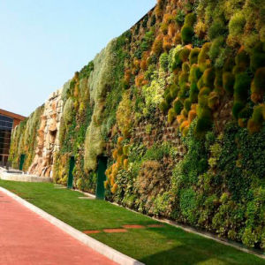 Зафиксирован новый мировой рекорд среди вертикальных садов