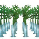 Ученые США добились новых успехов в генетической модификации деревьев