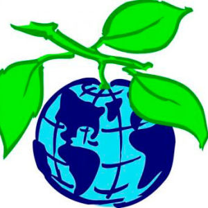 В России 2013 год станет Годом охраны окружающей среды