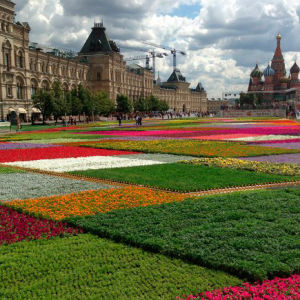 ГУМ подарил российской столице Фестиваль цветов