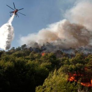 Этим летом в Греции сгорели более 30 тысяч гектаров леса