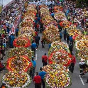 В «Столице орхидей» прошел грандиозный цветочный парад