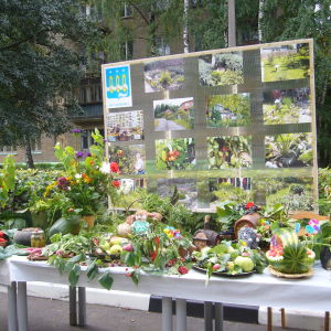 В Щелково прошел смотр садово-огородных достижений