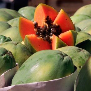 В Мексике вывели новый высокоурожайный сорт папайи