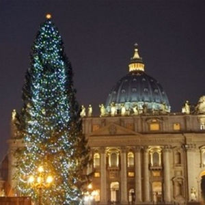 Бавария подарила Рождественскую елку Ватикану