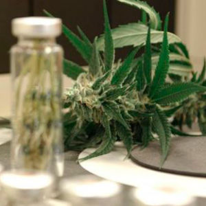 Франция легализовала марихуану в медицинских целях