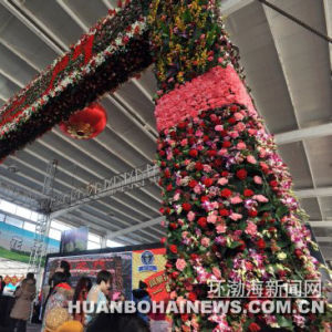 В Китае установлен новый цветочный рекорд