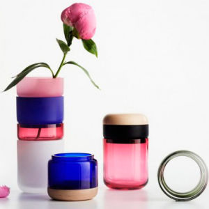 Финский дизайнер предложила новую концепцию цветочных ваз