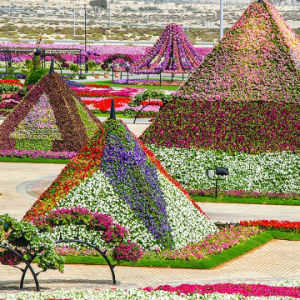 Дубай готовится к новому цветочному рекорду