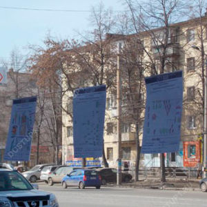 Челябинские школьники предложили более 500 проектов озеленения родного города