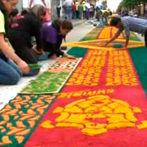 Создан пасхальный ковер из живых цветов длиною в 2 км