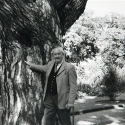 Последнее фото Толкиена сделано незадолго до смерти, 9 августа 1973 года, у  ствола любимой �черной сосны�. 
